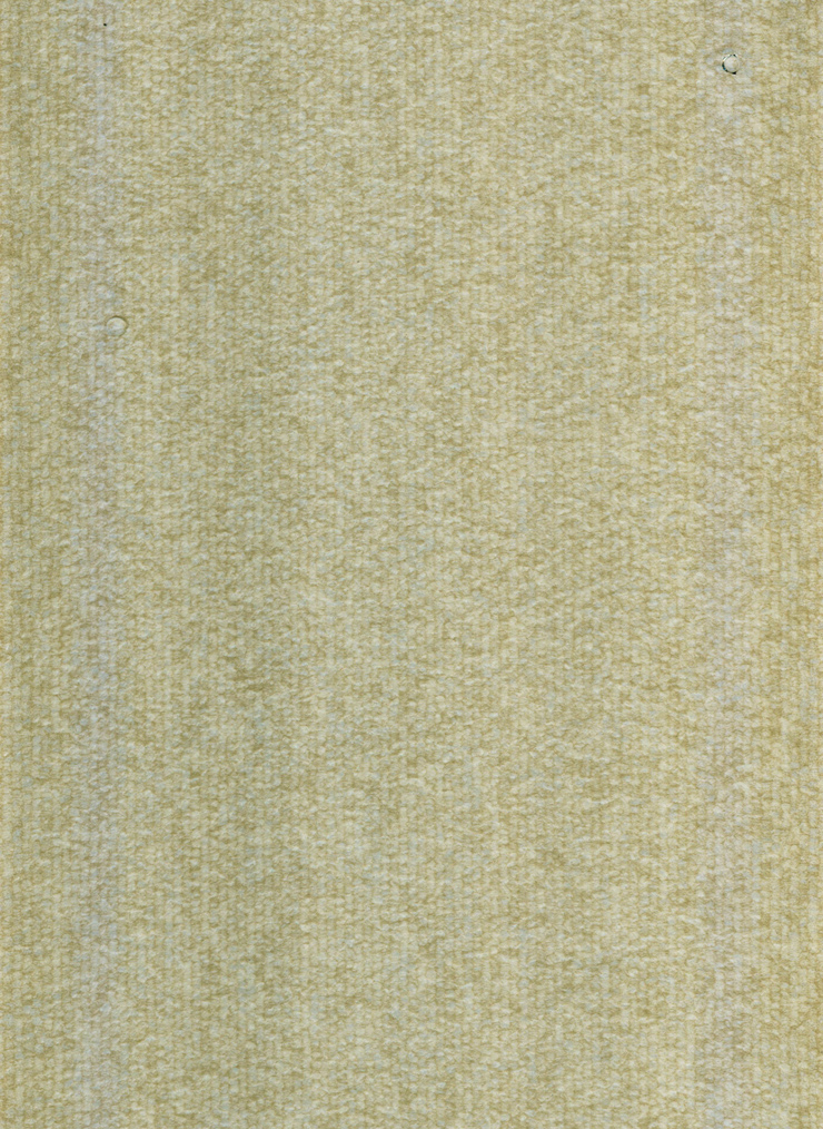 地毯紋8